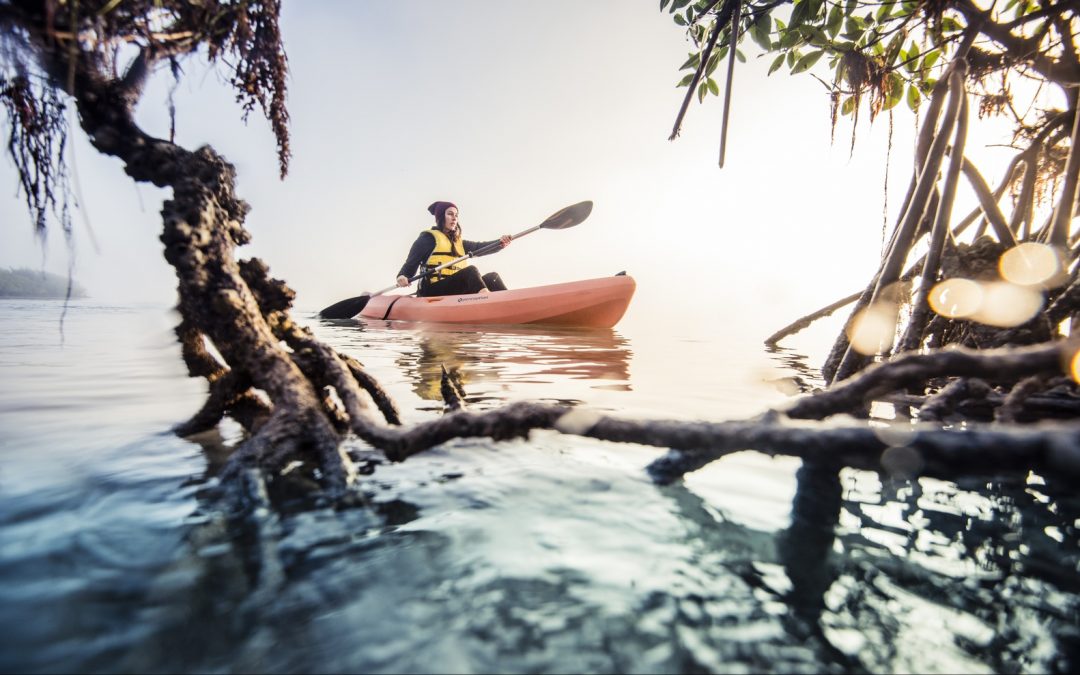 Mangrove Tourism Kayak 1 1080x675 1