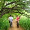 bicycletour los haitises tours